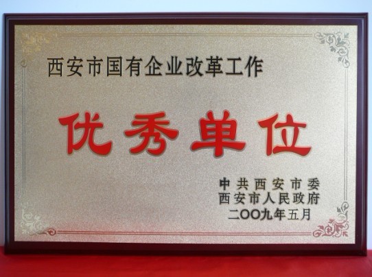 2009年5月，被西安市委、市政府評(píng)為西安市國(guó)企業(yè)改革工作優(yōu)秀單位